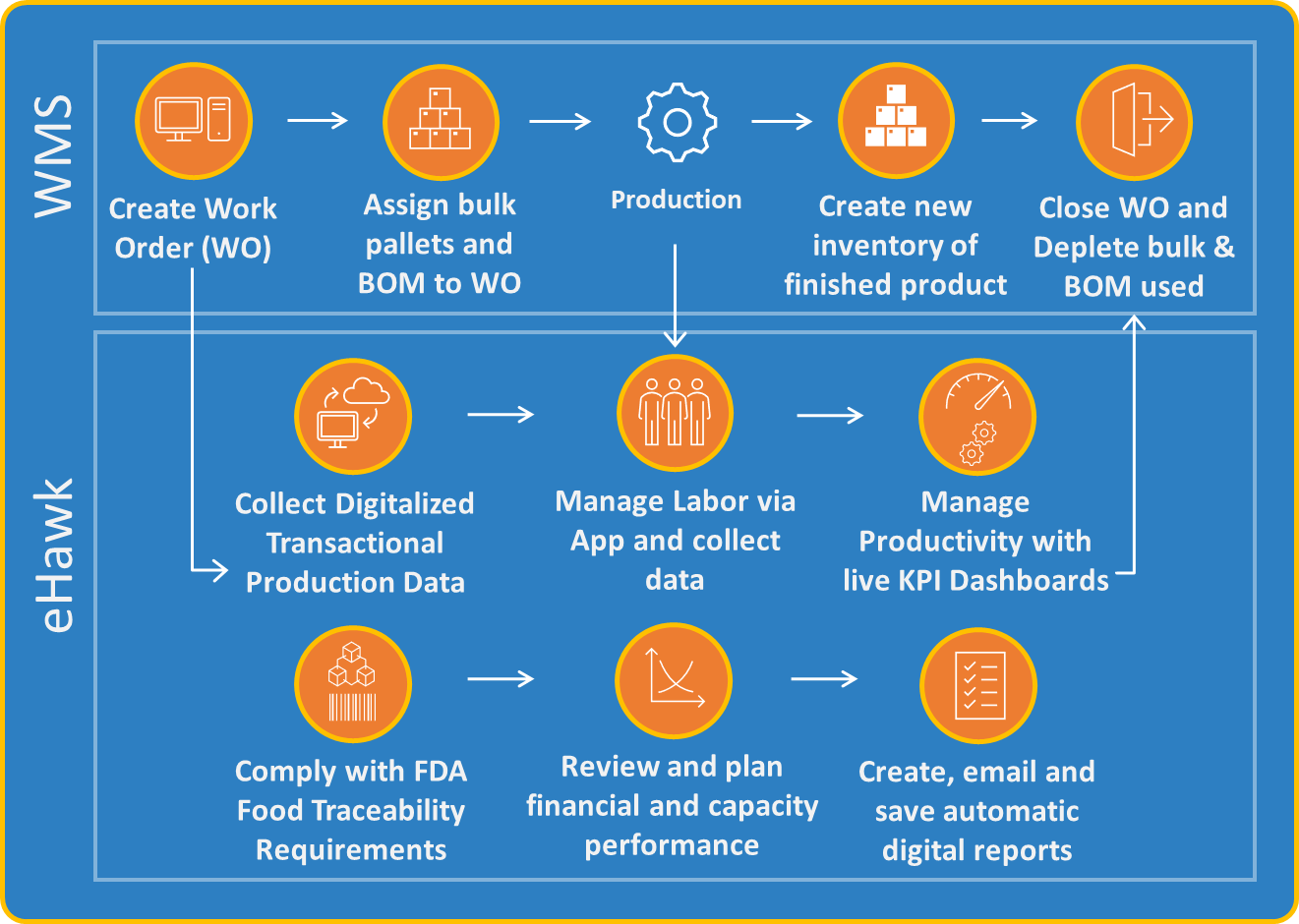 eHawk iOT